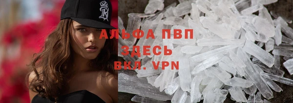 стафф Арсеньев
