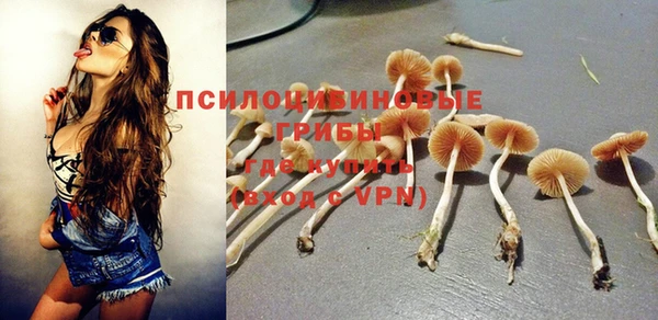 герыч Аркадак