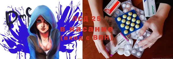 стафф Арсеньев