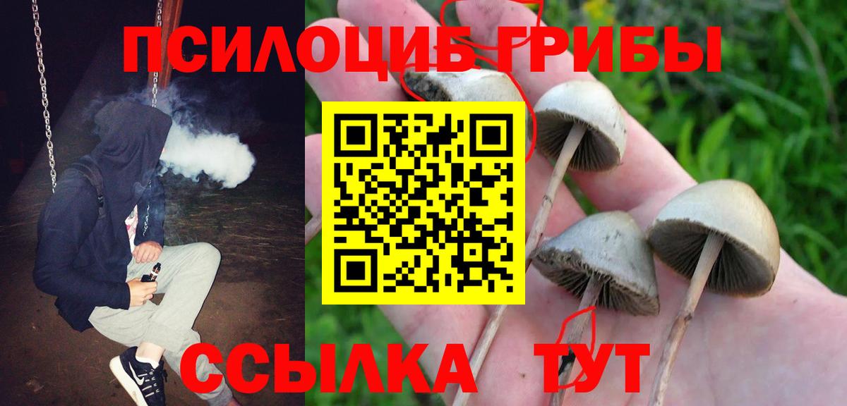 Псилоцибиновые грибы Psilocybine cubensis  Вход с VPN  Кызыл  Псилоцибиновые грибы Magic Shrooms 