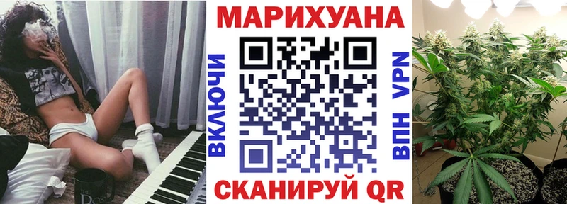 Бошки Шишки план  где продают наркотики  Кызыл 